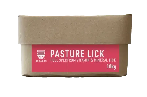 PASTURE LICK