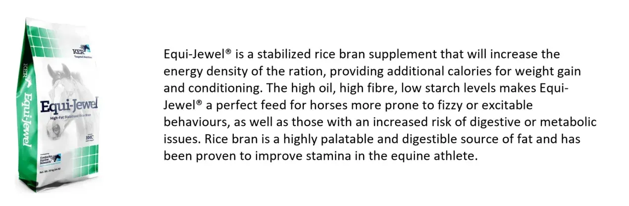 High fat Equi-Jewel® feed as an energy source