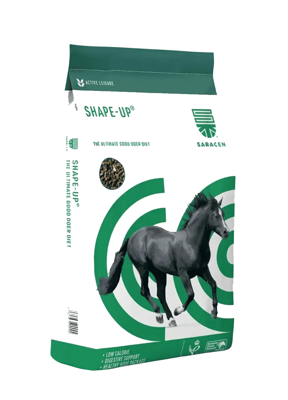 SHAPE-UP®