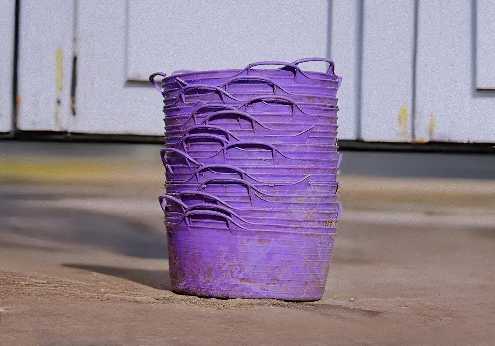 How to choose feed for a horse prone to gastric ulcers