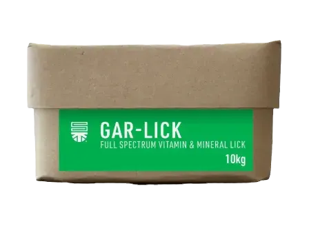 GAR-LICK