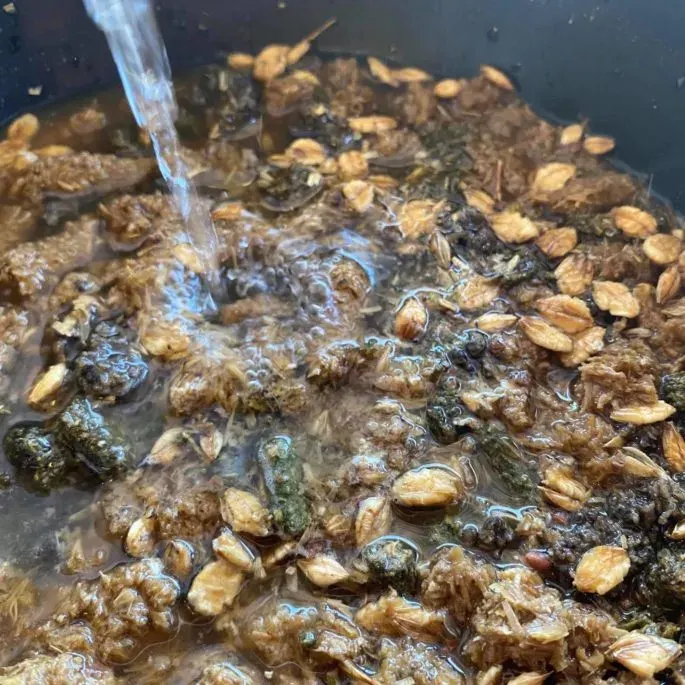 Soaked RE-COVERY MASH® in a bucket of water