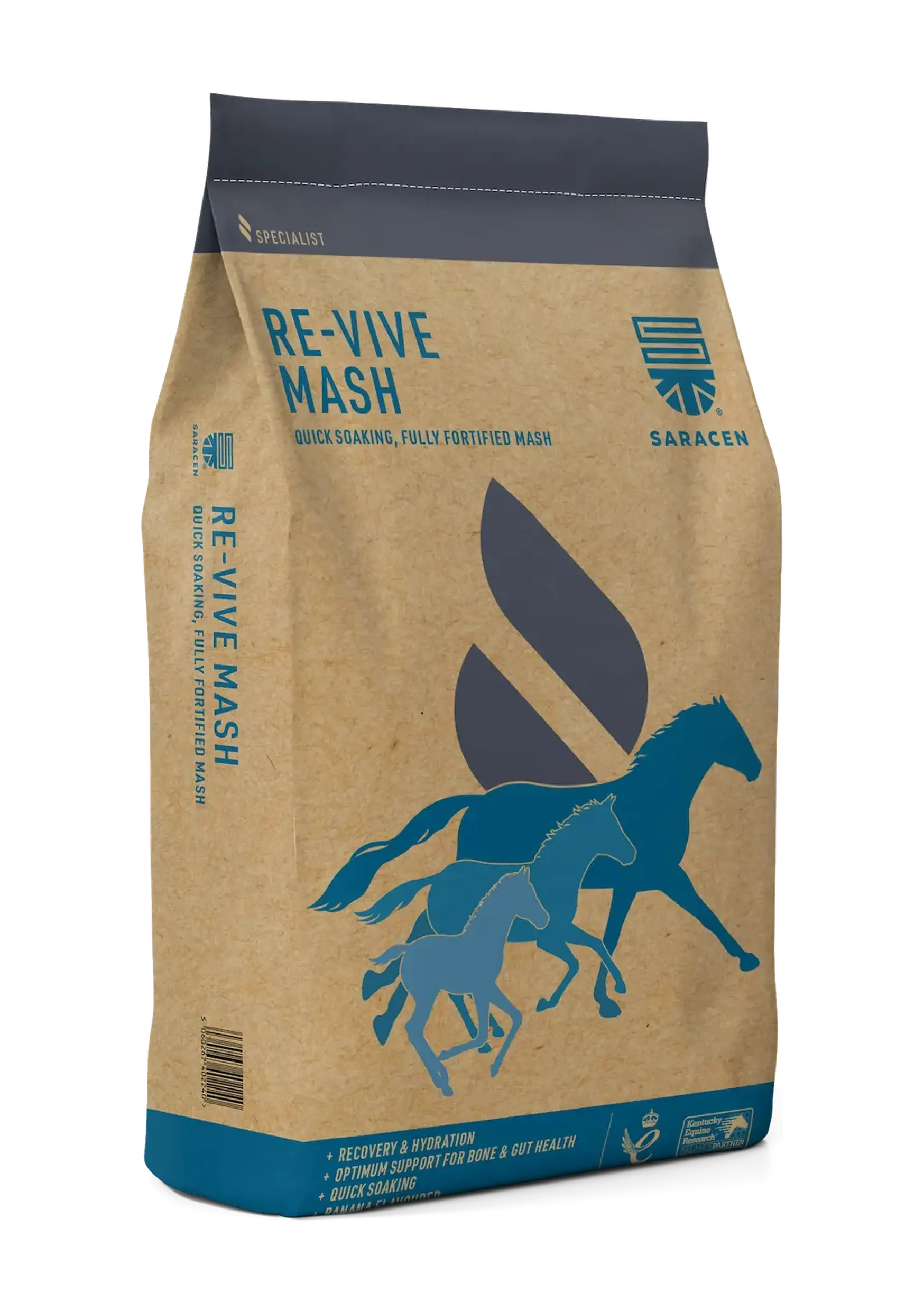 RE-VIVE MASH